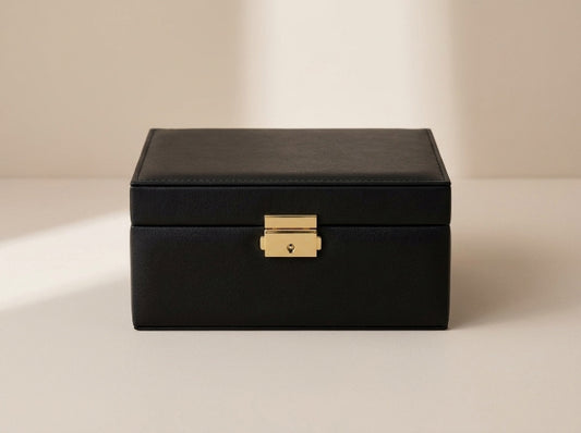Lockable Travel Jewelry Box | Black Leather Valuables Case with Gold Lock | Portable Anti-Theft Organizer for Passport, Watch & Jewelry